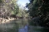 Norman River Carpentaria