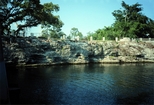 Miami Oolite Pleistocene Florida