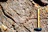 Devonian Nr Erfoud Sahara S of Atlas Jurassic Morroco