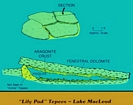 Lake McLeod Western Australia: Diagram by C. Robertson Handford
