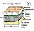 Anhydrite Polygons